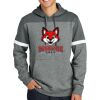 Drive Fleece Colorblock Hoodie Thumbnail